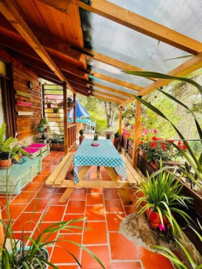 Encanto del Colibrí